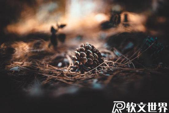 新聞源發文自己可以發嗎？
