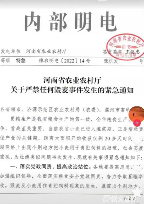 青麥?zhǔn)崭钍录馕觯恨r(nóng)民有權(quán)選擇割青麥作飼料嗎？